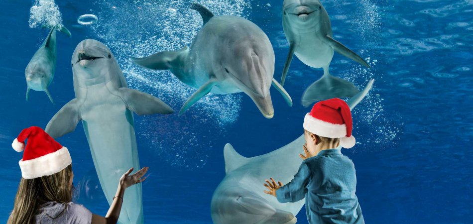 Vacanze di capodanno ai parchi di divertimento